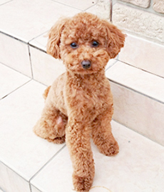 �}�e�̂���