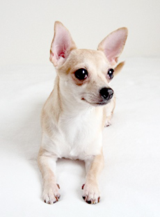 �}�e�̂���