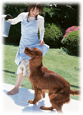 �����Ǝ�����̗ǍD�Ȋ֌W