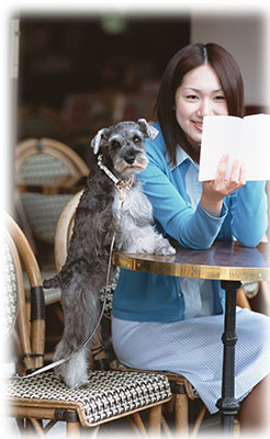 子犬のしつけ写真