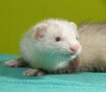 �������̎ʐ^