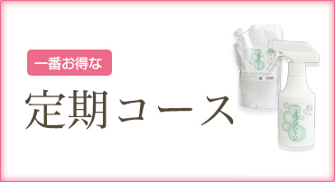 定期コース